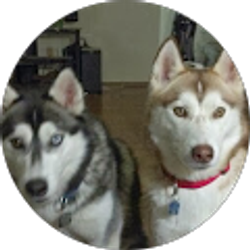 Profile photo of Deana Hudson