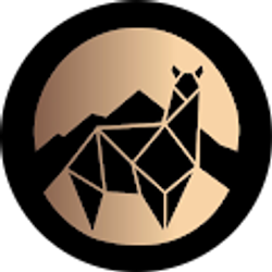 Profile photo of Aaron