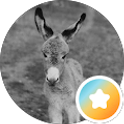 Profile photo of Steve Brown