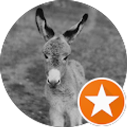 Profile photo of Steve Brown