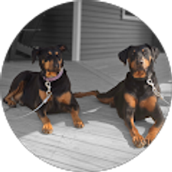 Profile photo of Augie Francis