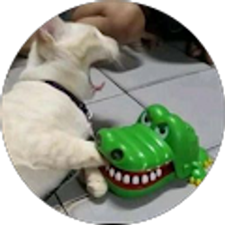 Profile photo of Angeles Maray Rosales lavin