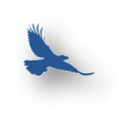 Profile photo of Info Legacy