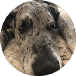 Profile photo of Al Keedi