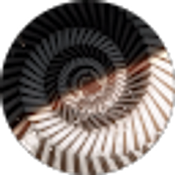 Profile photo of David Till
