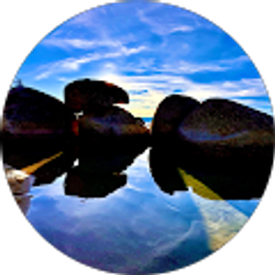 Profile photo of David Chauvin