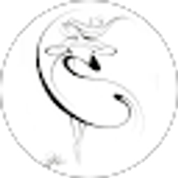 Profile photo of G M