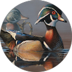 Profile photo of Jakob Hinton