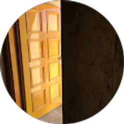 Profile photo of Diane Alt