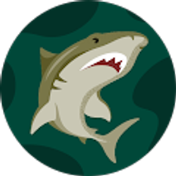 Profile photo of Joey Koss