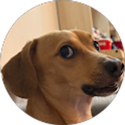 Profile photo of Ligia Santos