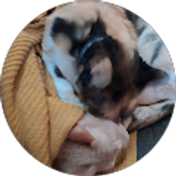 Profile photo of Lorinda Carlisle