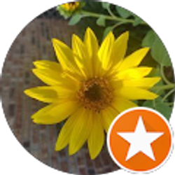 Profile photo of LaDonna Rhoten