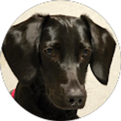 Profile photo of Abigail Holt