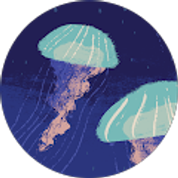 Profile photo of Kassandra Mercer