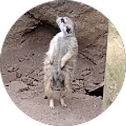 Profile photo of Angelina Reyes