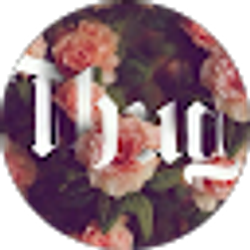 Profile photo of aliele cyrene