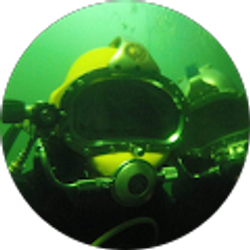 Profile photo of Bay Merker