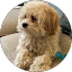 Profile photo of Beth Ammons