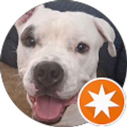 Profile photo of WaldoSniblets