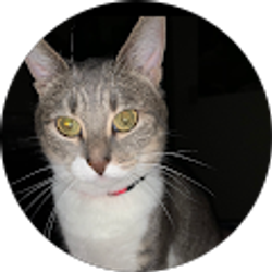 Profile photo of Blanca Ortega