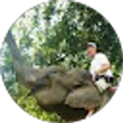 Profile photo of Louis Doan