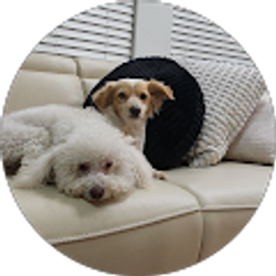 Profile photo of Luis Carney