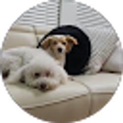 Profile photo of Luis Carney