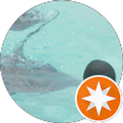 Profile photo of Warren A