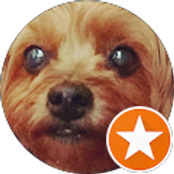 Profile photo of Monique Nelson