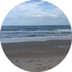 Profile photo of Carole Segouin