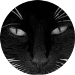 Profile photo of Teresa Duke