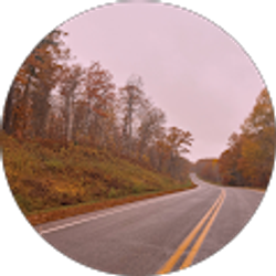 Profile photo of Kayleah Dantzman