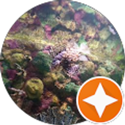 Profile photo of Aleisha Adorni