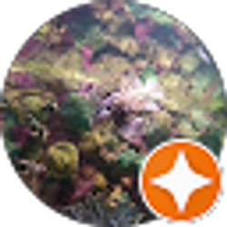 Profile photo of Aleisha Adorni