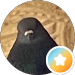 Profile photo of Javier Maciel