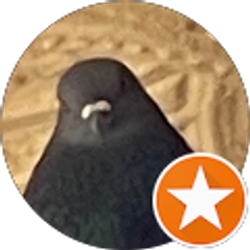 Profile photo of Javier Maciel