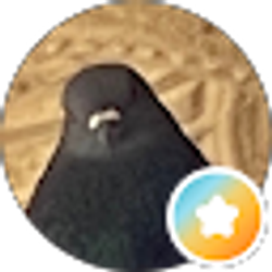 Profile photo of Javier Maciel