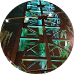 Profile photo of Carolyn Bynum