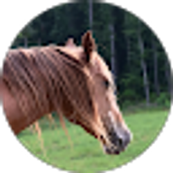 Profile photo of Lexie Keys