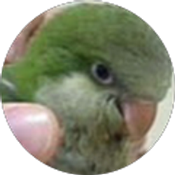 Profile photo of Tony Nardo