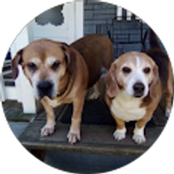 Profile photo of David McKinney