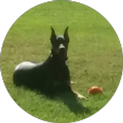 Profile photo of Sue Henderlite