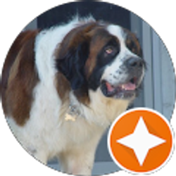 Profile photo of Wyatt Sinko