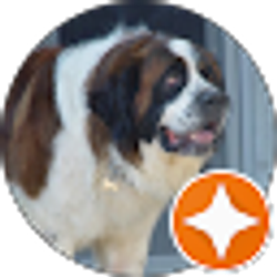 Profile photo of Wyatt Sinko