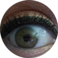 Profile photo of D Ellis