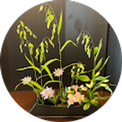 Profile photo of Gloria Lievano