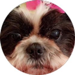 Profile photo of Memaw Fierce