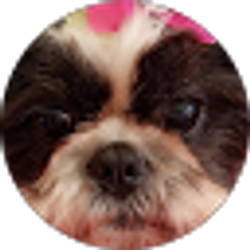 Profile photo of Memaw Fierce