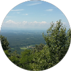 Profile photo of Ashley Newcomb